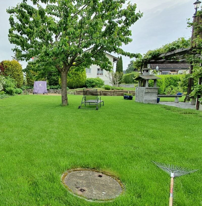 Rasenpflege Winterthur - Ihr grüner Traumrasen